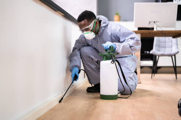 Best Pest Prevention Services  in Farngton, MI